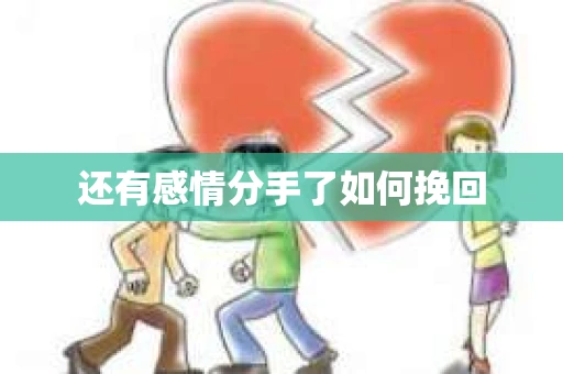 还有感情分手了如何挽回