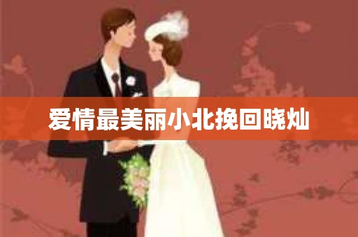 爱情最美丽小北挽回晓灿