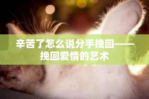 辛苦了怎么说分手挽回——挽回爱情的艺术 辛苦了怎么说分手挽回——挽回爱情的艺术