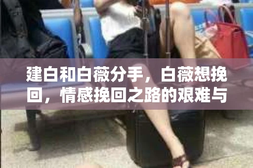 建白和白薇分手，白薇想挽回，情感挽回之路的艰难与希望