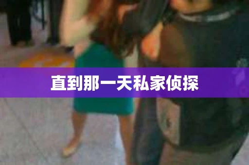 直到那一天私家侦探 直到那一天私家侦探