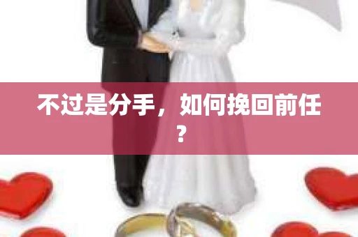 不过是分手，如何挽回前任？