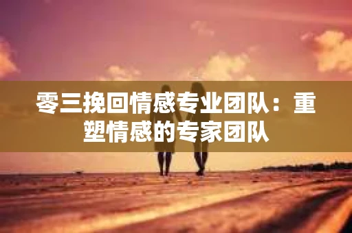 零三挽回情感专业团队：重塑情感的专家团队