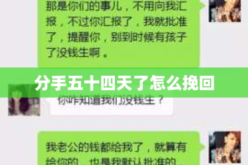 分手五十四天了怎么挽回