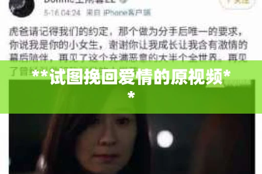 **试图挽回爱情的原视频**