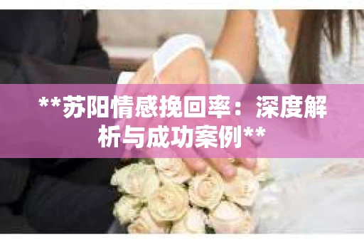 **苏阳情感挽回率：深度解析与成功案例**