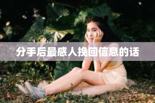 分手后最感人挽回信息的话