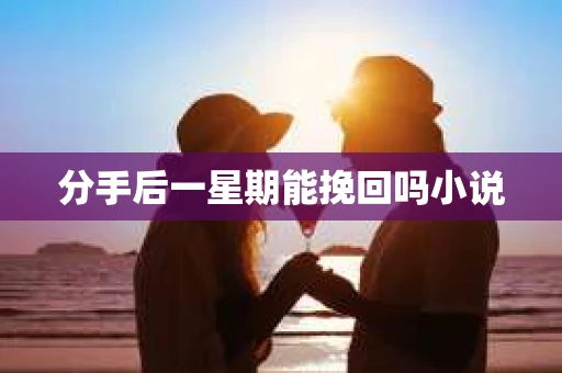 分手后一星期能挽回吗小说