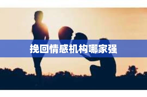 挽回情感机构哪家强