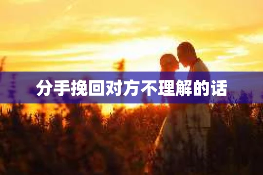 分手挽回对方不理解的话