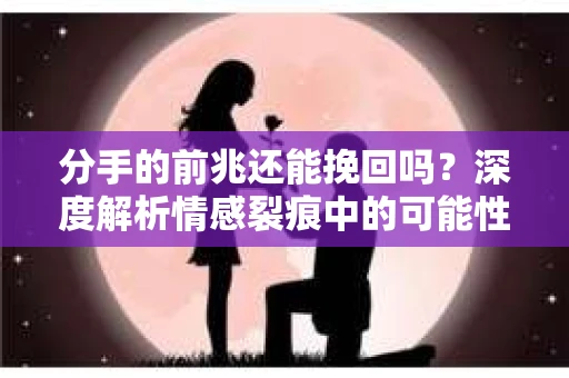 分手的前兆还能挽回吗？深度解析情感裂痕中的可能性