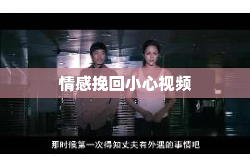 情感挽回小心视频