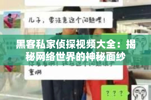 黑客私家侦探视频大全：揭秘网络世界的神秘面纱