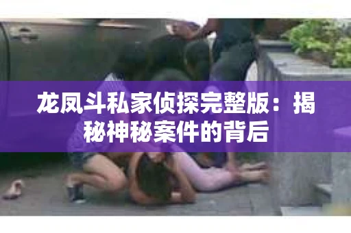 龙凤斗私家侦探完整版：揭秘神秘案件的背后