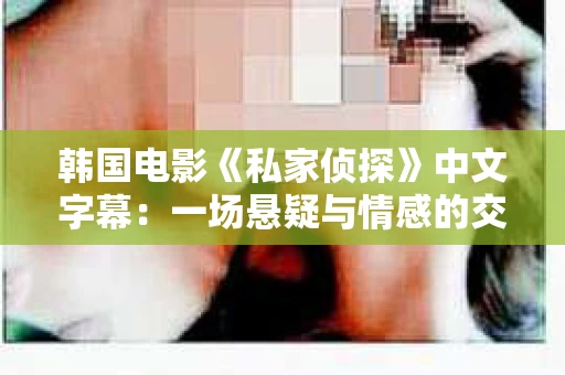 韩国电影《私家侦探》中文字幕：一场悬疑与情感的交织之旅