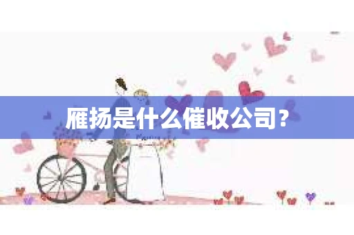 雁扬是什么催收公司？