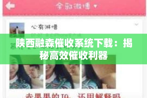 陕西融森催收系统下载：揭秘高效催收利器