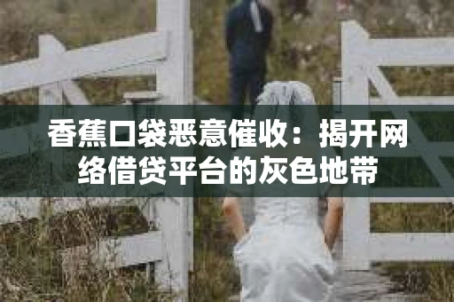 香蕉口袋恶意催收：揭开网络借贷平台的灰色地带