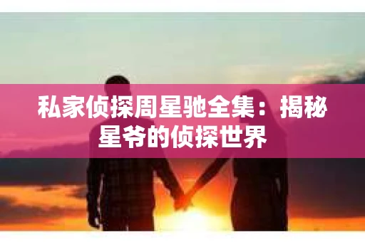私家侦探周星驰全集：揭秘星爷的侦探世界