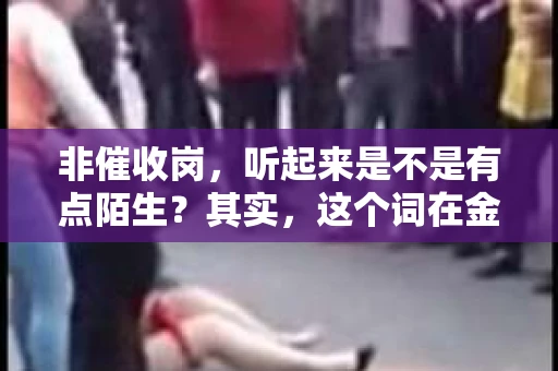 非催收岗，听起来是不是有点陌生？其实，这个词在金融行业里并不罕见。今天，我们就来聊聊这个话题，揭开“非催收岗”的神秘面纱。