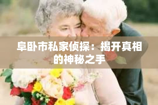 阜卧市私家侦探：揭开真相的神秘之手