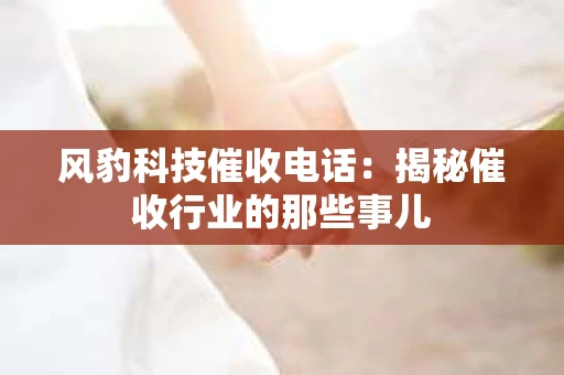 风豹科技催收电话：揭秘催收行业的那些事儿