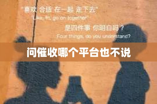 问催收哪个平台也不说