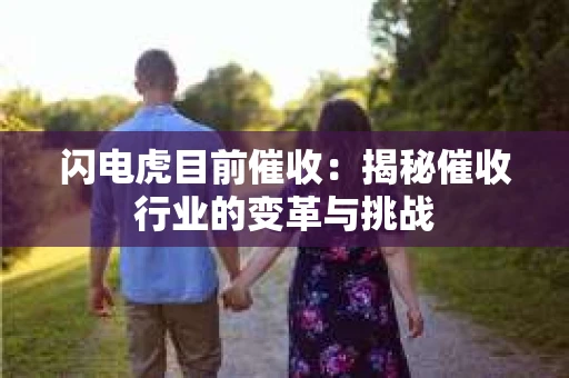 闪电虎目前催收：揭秘催收行业的变革与挑战