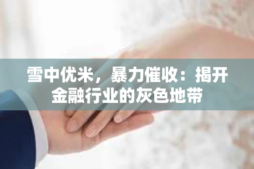 雪中优米，暴力催收：揭开金融行业的灰色地带