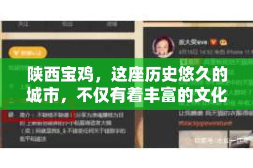 陕西宝鸡，这座历史悠久的城市，不仅有着丰富的文化遗产，也有着现代生活的便捷。那么，问题来了——陕西宝鸡有私家侦探吗？这个问题背后，可能隐藏着各种各样需要专业侦探介入的情况。下面，我就来为大家揭开这个谜团。