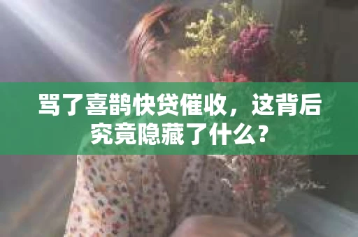 骂了喜鹊快贷催收，这背后究竟隐藏了什么？