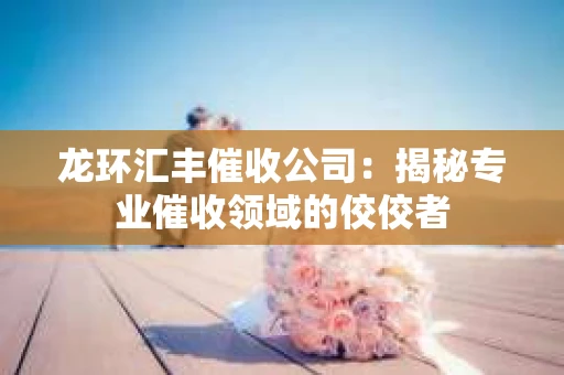 龙环汇丰催收公司：揭秘专业催收领域的佼佼者