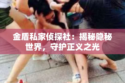 金盾私家侦探社：揭秘隐秘世界，守护正义之光
