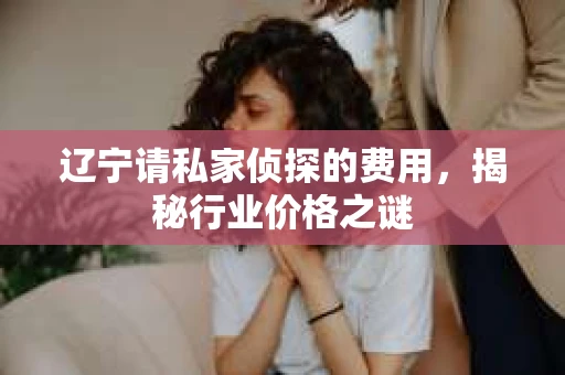 辽宁请私家侦探的费用，揭秘行业价格之谜