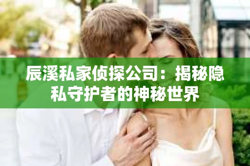 辰溪私家侦探公司：揭秘隐私守护者的神秘世界