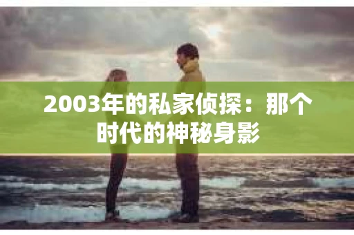 2003年的私家侦探：那个时代的神秘身影