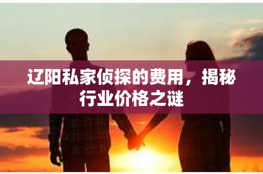 辽阳私家侦探的费用，揭秘行业价格之谜