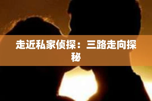 走近私家侦探：三路走向探秘