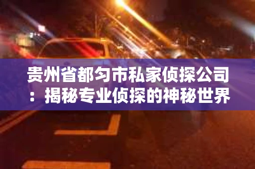 贵州省都匀市私家侦探公司：揭秘专业侦探的神秘世界