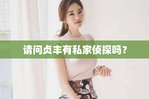 请问贞丰有私家侦探吗？