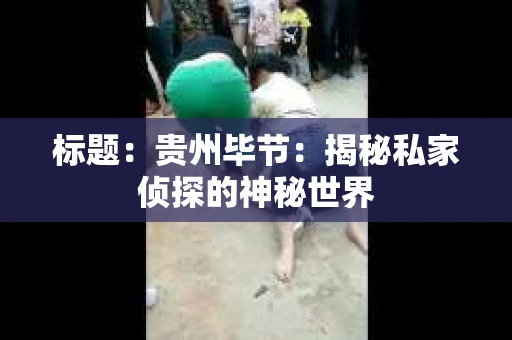 标题：贵州毕节：揭秘私家侦探的神秘世界