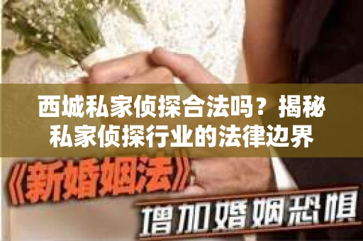西城私家侦探合法吗？揭秘私家侦探行业的法律边界