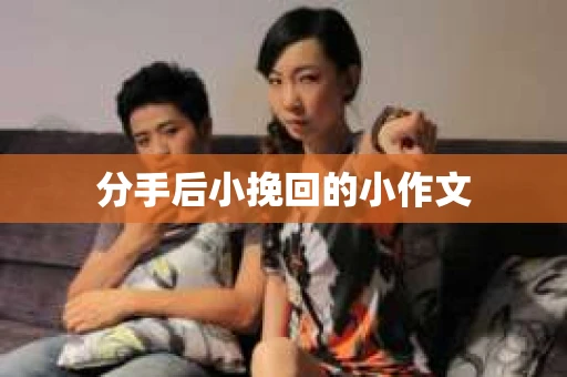 分手后小挽回的小作文