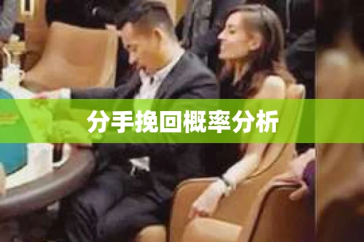 分手挽回概率分析
