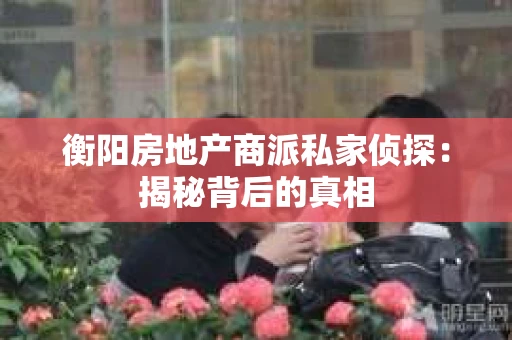 衡阳房地产商派私家侦探：揭秘背后的真相