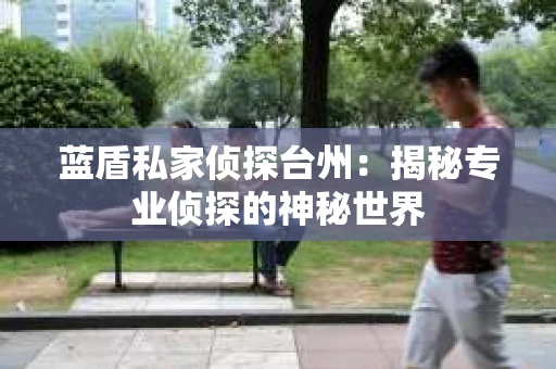 蓝盾私家侦探台州：揭秘专业侦探的神秘世界